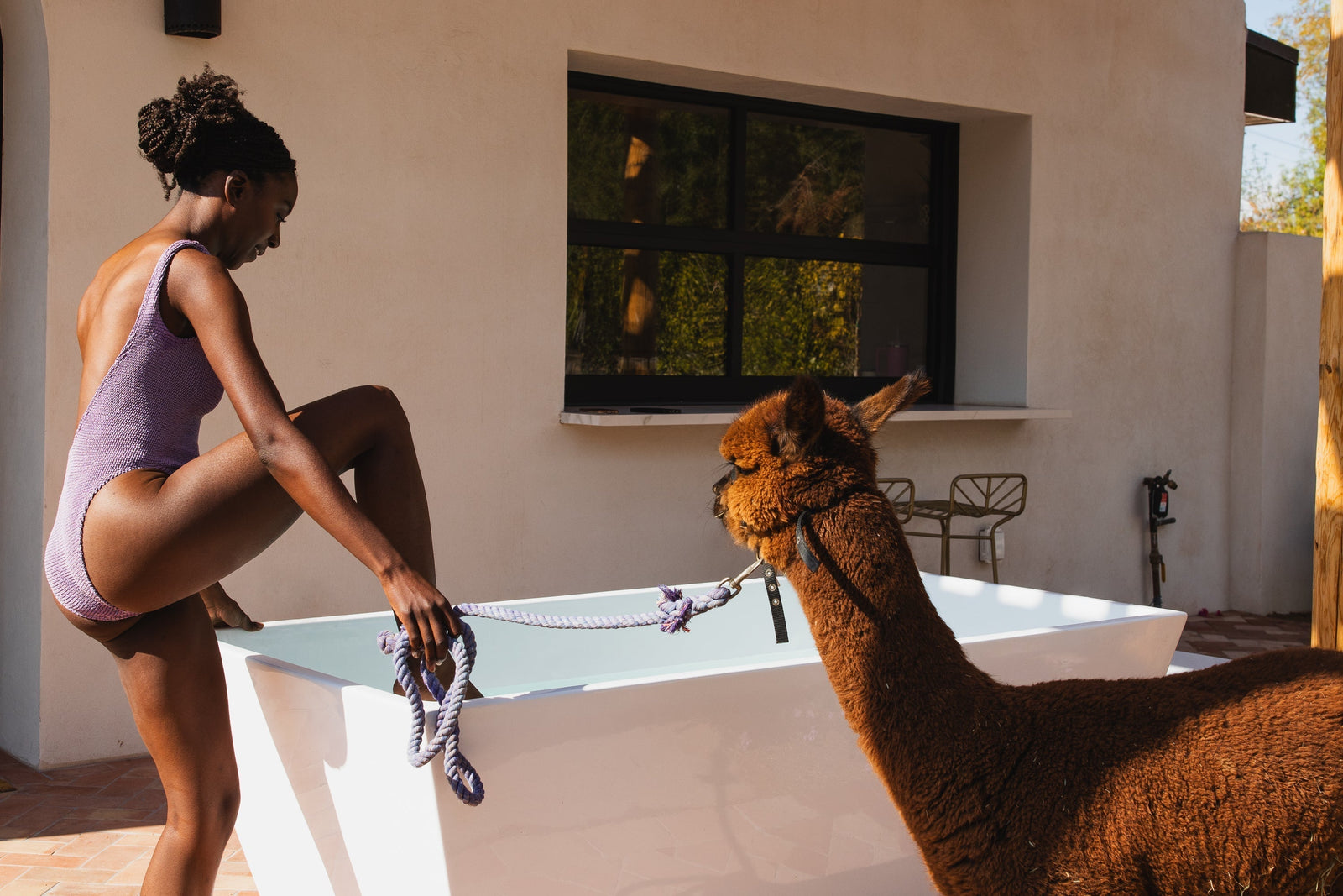 How a Cold Plunge Can Help You Beat Procrastination